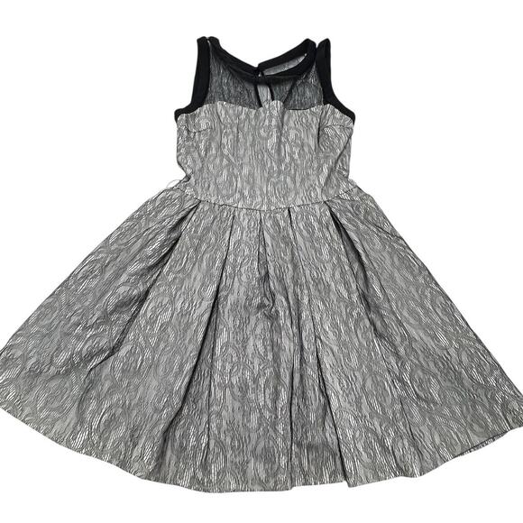 Zara Dress Womens Small Mesh Lace Cocktail Party Sleeveless Fit Flare Mini - Picture 1 of 6